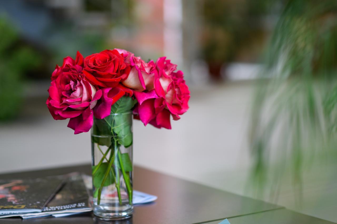 Hotel Torontal Тимишоара Екстериор снимка